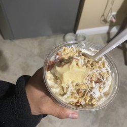 Antojito de Jalisco Yogurt - Bionico