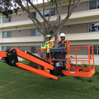 Lone Star Arborist - Tree pruning in Hawaii - Tree Services Near Me - Bastrop, Texas Lone Star Arborist - Tree pruning in Hawaii - Tree Services Near Me - Bastrop, Texas