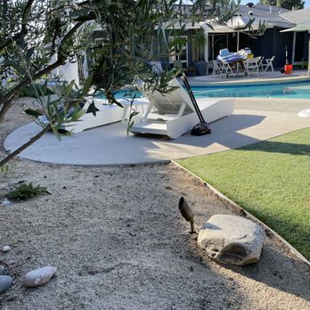Mendoza's Landscaping - Pool deck hardscape - Landscaping Near Me Mendoza's Landscaping - Pool deck hardscape - Landscaping Near Me