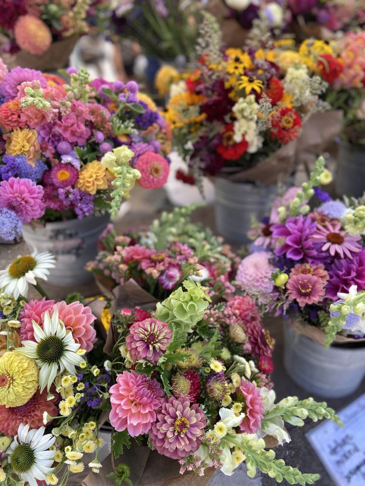 Scotts Valley Farmers Market Logo