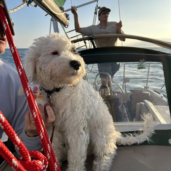 Santa Barbara Channel Charters - Boat Charters Near Me Santa Barbara Channel Charters - Boat Charters Near Me