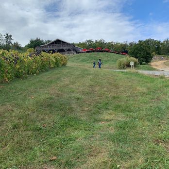 Bluemont Vineyard - A very steep walk up to tasting room - Venues & Event Spaces Near Me - Bluemont, Virginia Bluemont Vineyard - A very steep walk up to tasting room - Venues & Event Spaces Near Me - Bluemont, Virginia