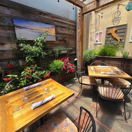 Outdoor seating for you and your pup Outdoor seating for you and your pup