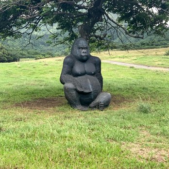 Kualoa Ranch - Tours Near Me - Kaneohe, Hawaii