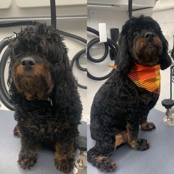 Woofie’s of Bethesda