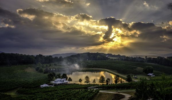 Frogtown Cellars by null