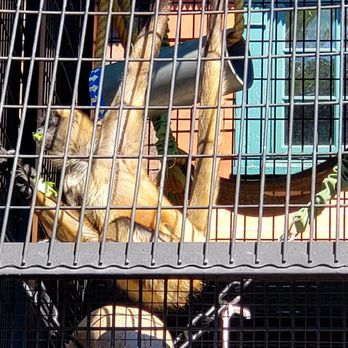 Denver Zoo - Zoos Near Me - Denver, Colorado Denver Zoo - Zoos Near Me - Denver, Colorado
