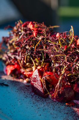 Serea Coastal Cuisine by null