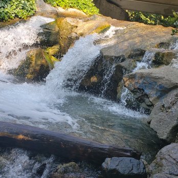 APPLEWHITE PICNIC AREA - Updated January 2026 - 22 Photos - 14126