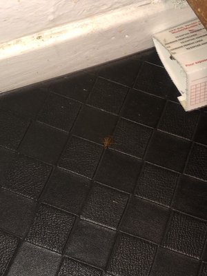 Beacon Properties by null