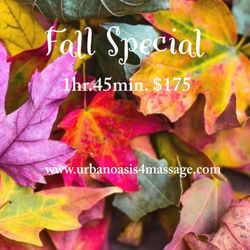 Urban Oasis - At Urban Oasis we are here to help you to take advantage of the spirit of the season.
1Hr.45min. $175
