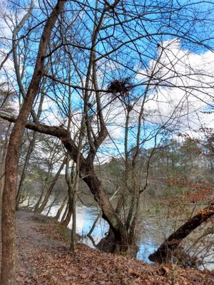 Chattahoochee River National Recreation Area by null