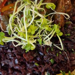 Ratskeller - Gulasch mit Knödel und Rotkraut