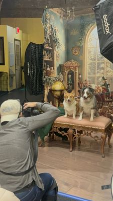 DoGone Fun Resort by null