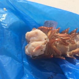 Lobster is suppose to be clear. Not look like sea urchin!!!  That's completely rotten