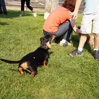Paso Nogal Park - Dog Parks Near Me - Pleasant Hill, California