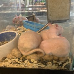 Aqualand Pets Plus