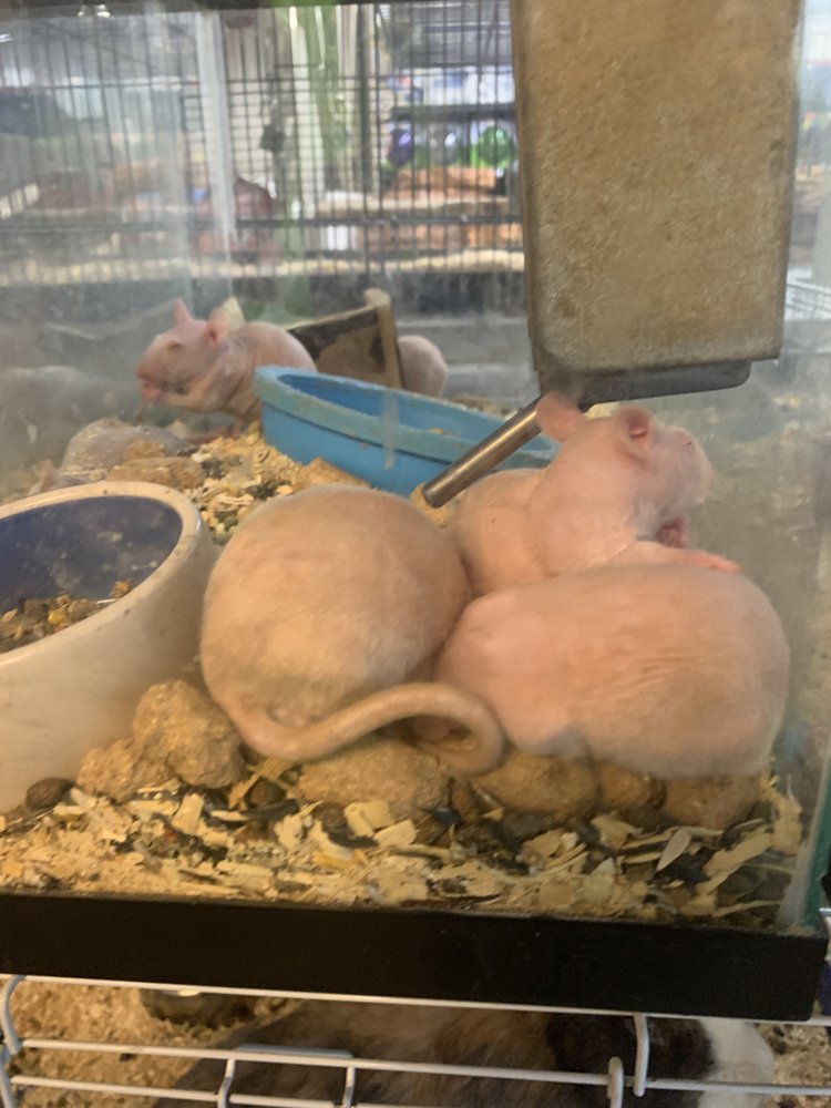 Aqualand Pets Plus - reptile breeding in Des Moines, IA