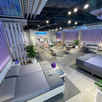 Purple - Furniture Stores Near Me - Sarasota, Florida Purple - Furniture Stores Near Me - Sarasota, Florida