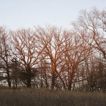 McFarland Park - Warm January Sky - Parks Near Me - Ames, Iowa McFarland Park - Warm January Sky - Parks Near Me - Ames, Iowa