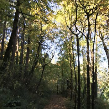 Maddax Woods Park - Parks Near Me - West Linn, Oregon