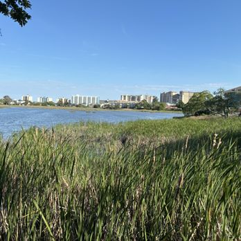 Joe's Bar & Grill - View from patio bar - New American Near Me - North Myrtle Beach, South Carolina