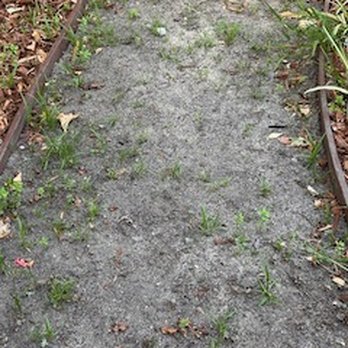 MsGardening - Landscaping Near Me