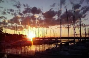 Redbud Marina by null