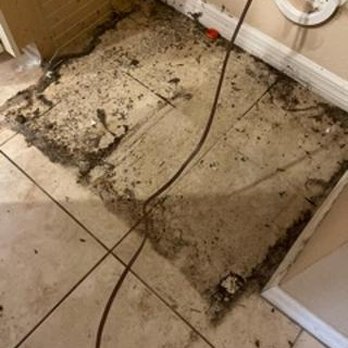 Top Notch Pest Control - What I came home to... behind the fridge. There was a nest in the motor of the refrigerator. Disgusting! - Pest Control Near Me - Clearwater, Florida Top Notch Pest Control - What I came home to... behind the fridge. There was a nest in the motor of the refrigerator. Disgusting! - Pest Control Near Me - Clearwater, Florida