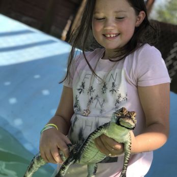 Gator Country - Zoos Near Me - Beaumont, Texas