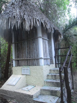 Jardín Botanico Dr. Alfredo Barrera Marín by null