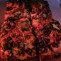 Photo of Stoned Pizza