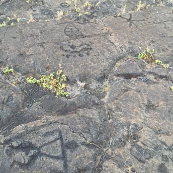 Pu'u Loa Petroglyphs - Hiking Near Me - Mountain View, Hawaii Pu'u Loa Petroglyphs - Hiking Near Me - Mountain View, Hawaii