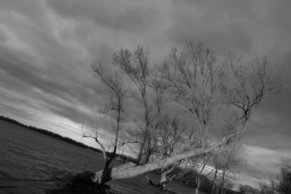 Toronto Island Park Olympic Island by null