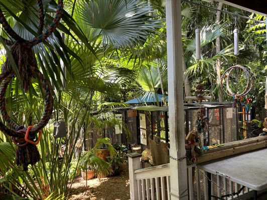 Nancy Forrester's Secret Garden by null