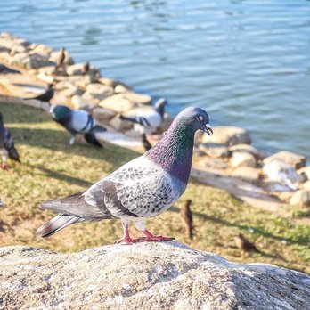 Almansor Park - Parks Near Me - Alhambra, California Almansor Park - Parks Near Me - Alhambra, California