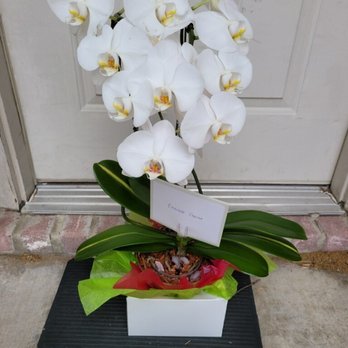 Plum Floral Arrangements - Thank you gift - Florists Near Me