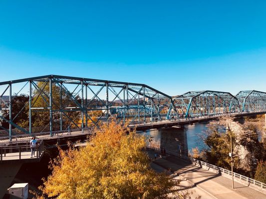 Walnut Street Bridge by null