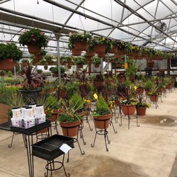 N & M Herb Nursery