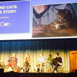 Real Men love Cats panel with Lil Bub!