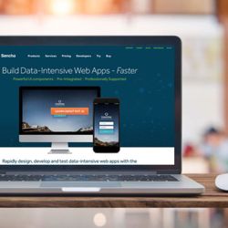 WEBDOGS - Sencha website: rethinking enterprise eCommerce with WordPress and WooCommerce