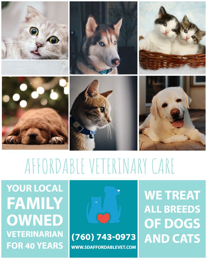 PARKWAY PET CLINIC Updated July 2024 12 Reviews 855 East Valley