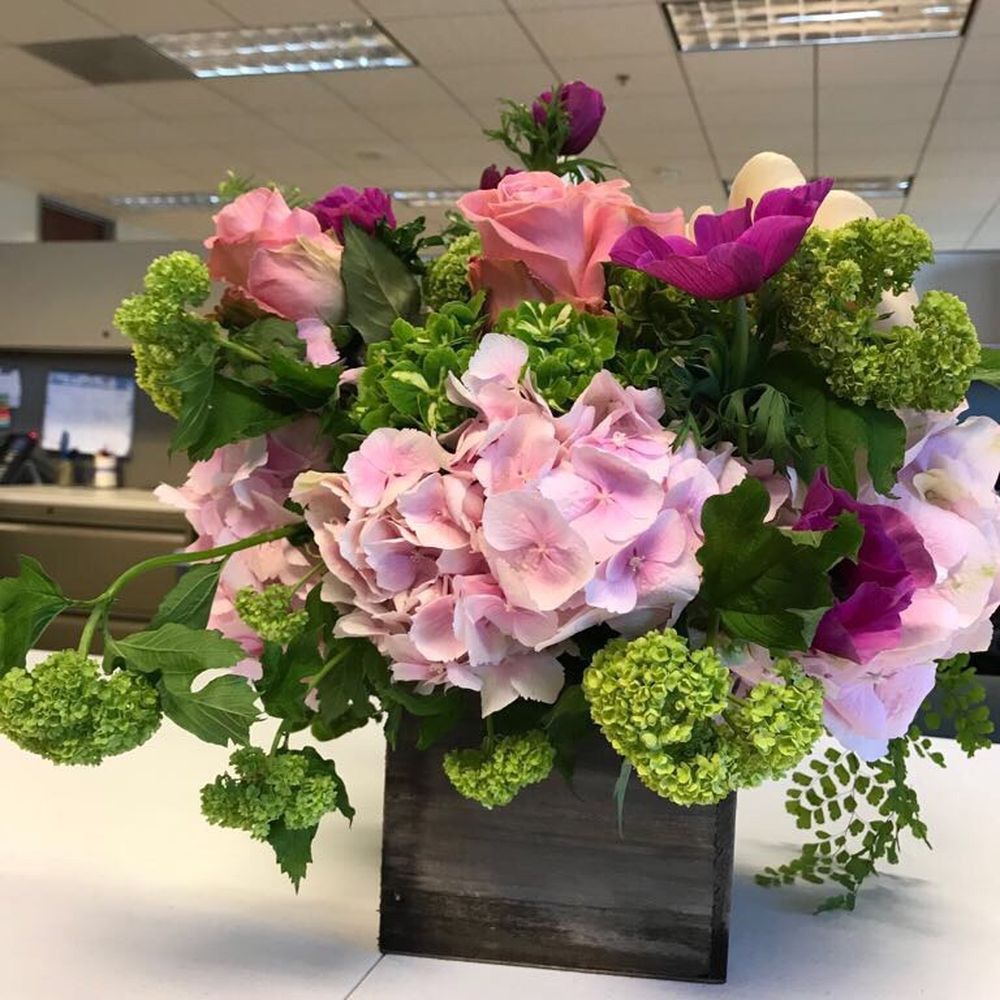 Urban Gardener - Florists Near Me - Newport Beach, California Urban Gardener - Florists Near Me - Newport Beach, California