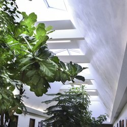 Apple Tree Assisted Living - Natural sunlight