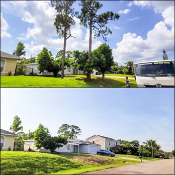 Hurricane Tree Service And Landscaping - Two pine trees removed and stump grinded - Tree Services Near Me Hurricane Tree Service And Landscaping - Two pine trees removed and stump grinded - Tree Services Near Me