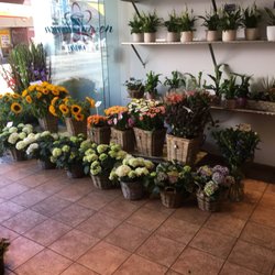 Blumen Timm