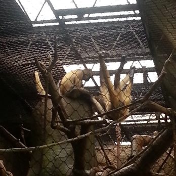 Peoria Zoo - Zoos Near Me - Peoria, Illinois Peoria Zoo - Zoos Near Me - Peoria, Illinois