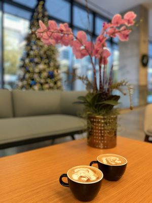 Apotheos Coffee Midtown by null