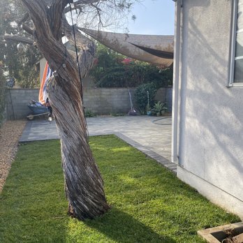 RnD Builders - New sod, drip irrigation, and side view of installed patio - General Contractors Near Me - Woodland Hills, California