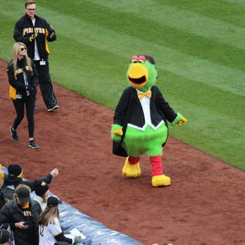 PNC Park - Pirate Parrot - Stadiums & Arenas Near Me - Pittsburgh, Pennsylvania